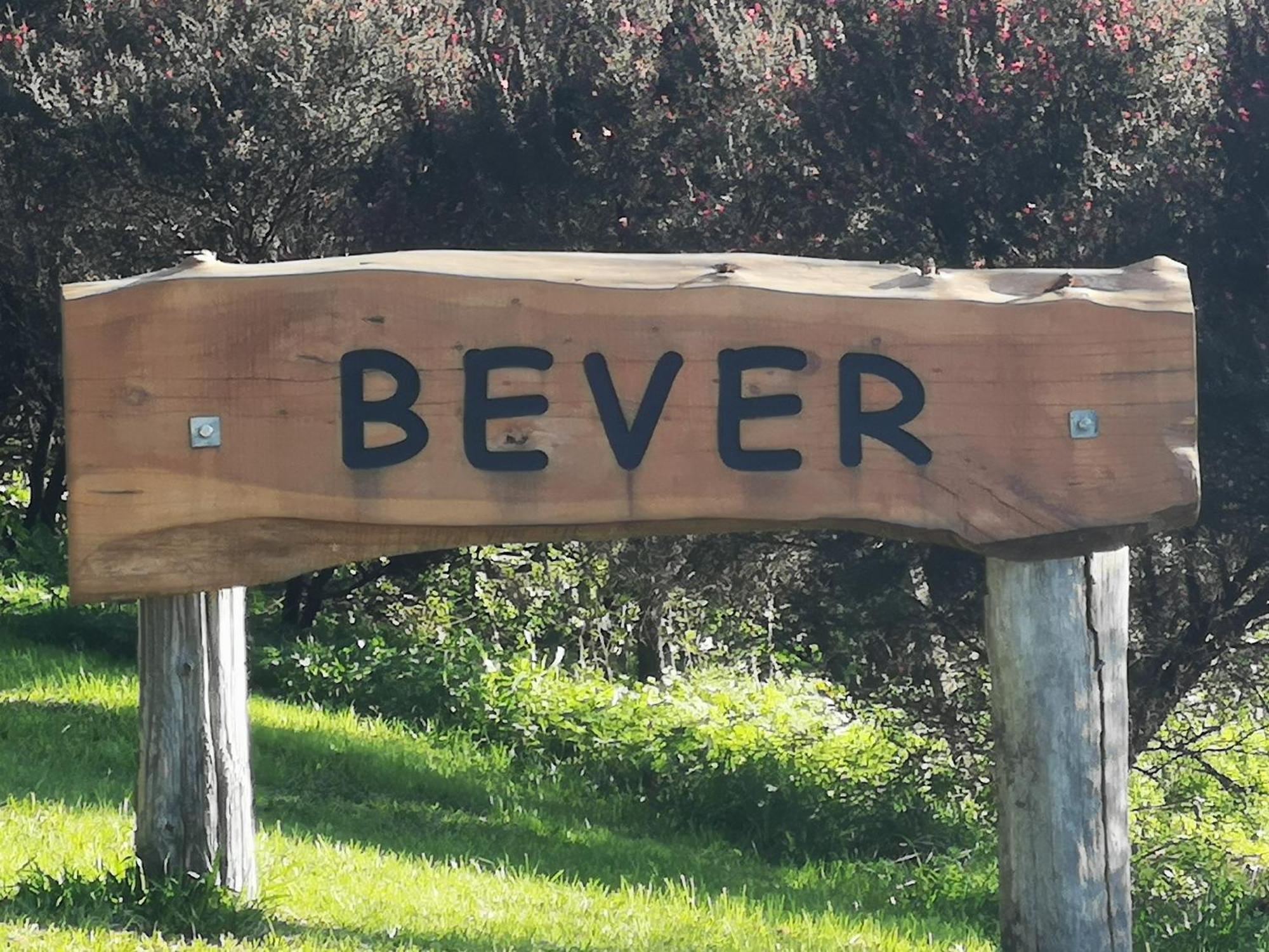 Bever Farm Waitoki Eksteriør bilde